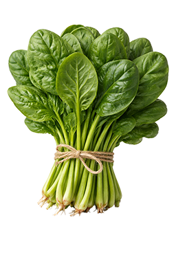 Bos bladspinazie als vergelijking voor de grootte van de baby bij 37 weken zwangerschap.