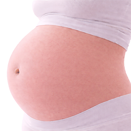 Prei als vergelijking voor de grootte van de baby bij 38 weken zwangerschap.