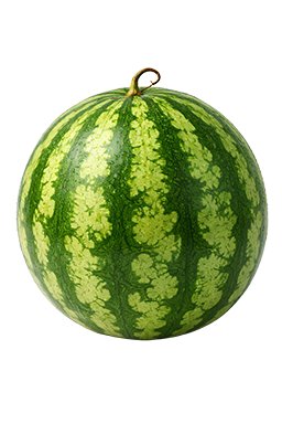 Watermeloen als vergelijking voor de grootte van de baby bij 40 weken zwangerschap.