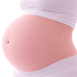 Cassave als vergelijking voor de grootte van de baby bij 41 weken zwangerschap.