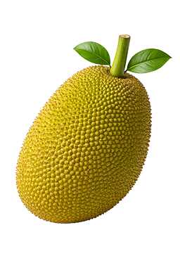 Jackfruit als vergelijking voor de grootte van de baby bij 42 weken zwangerschap.