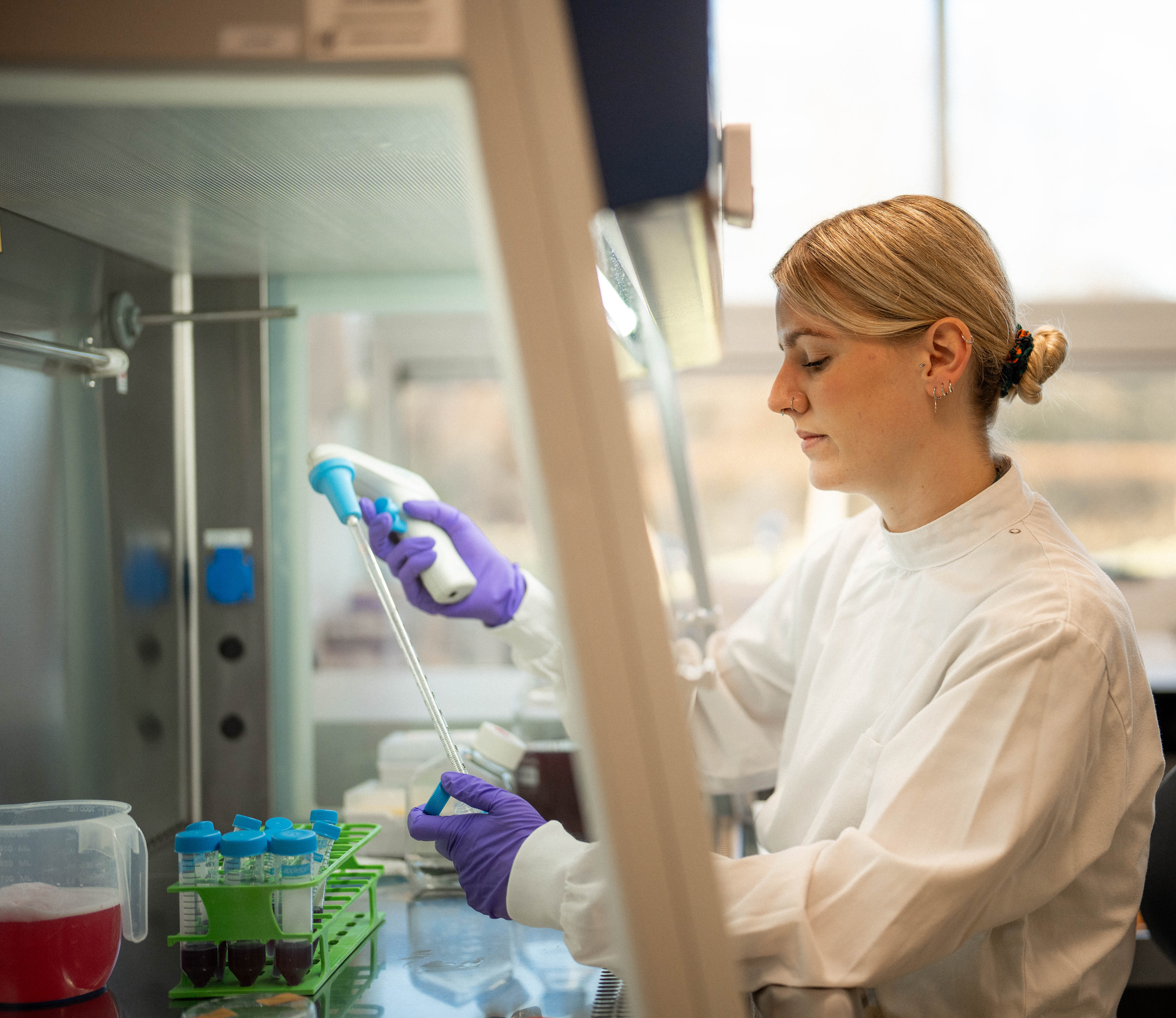 Scientist in a white lab coat and purple gloves using a pipette inside a laboratory fume hood.