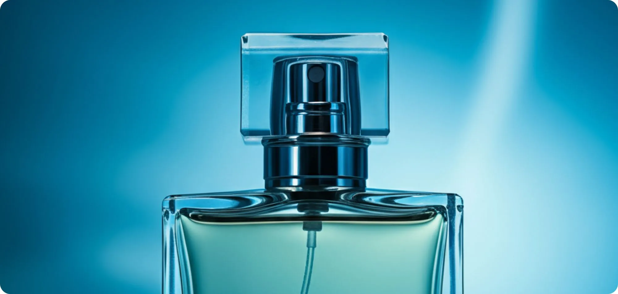 License Single Image