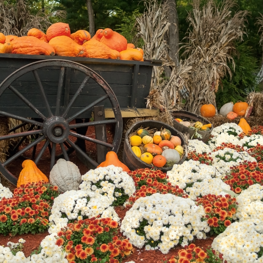 image of a floral arrangement