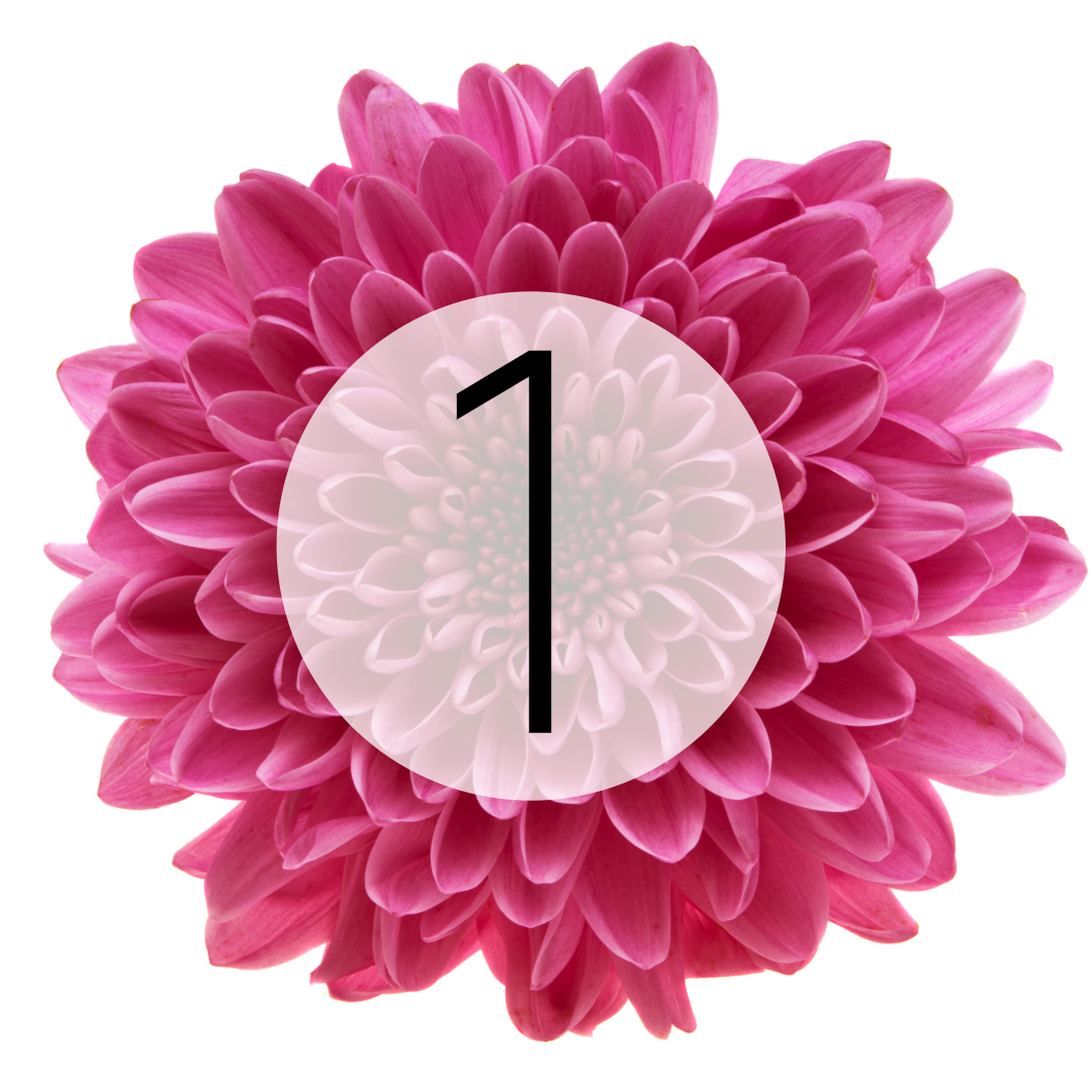 image of a floral arrangement
