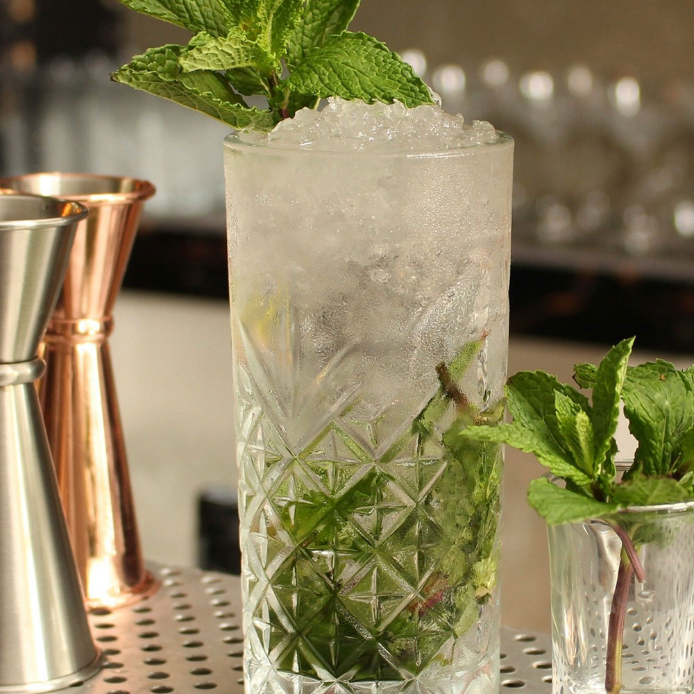 Modern Mixologist mojito