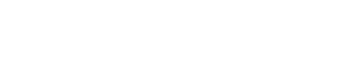 Supply & Demand Chain Executive