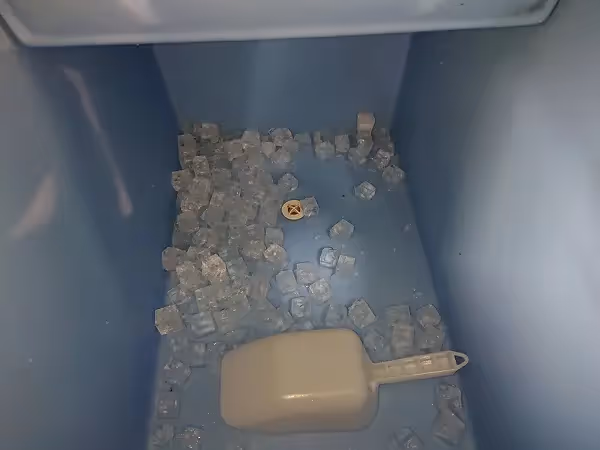 ice maker no ice