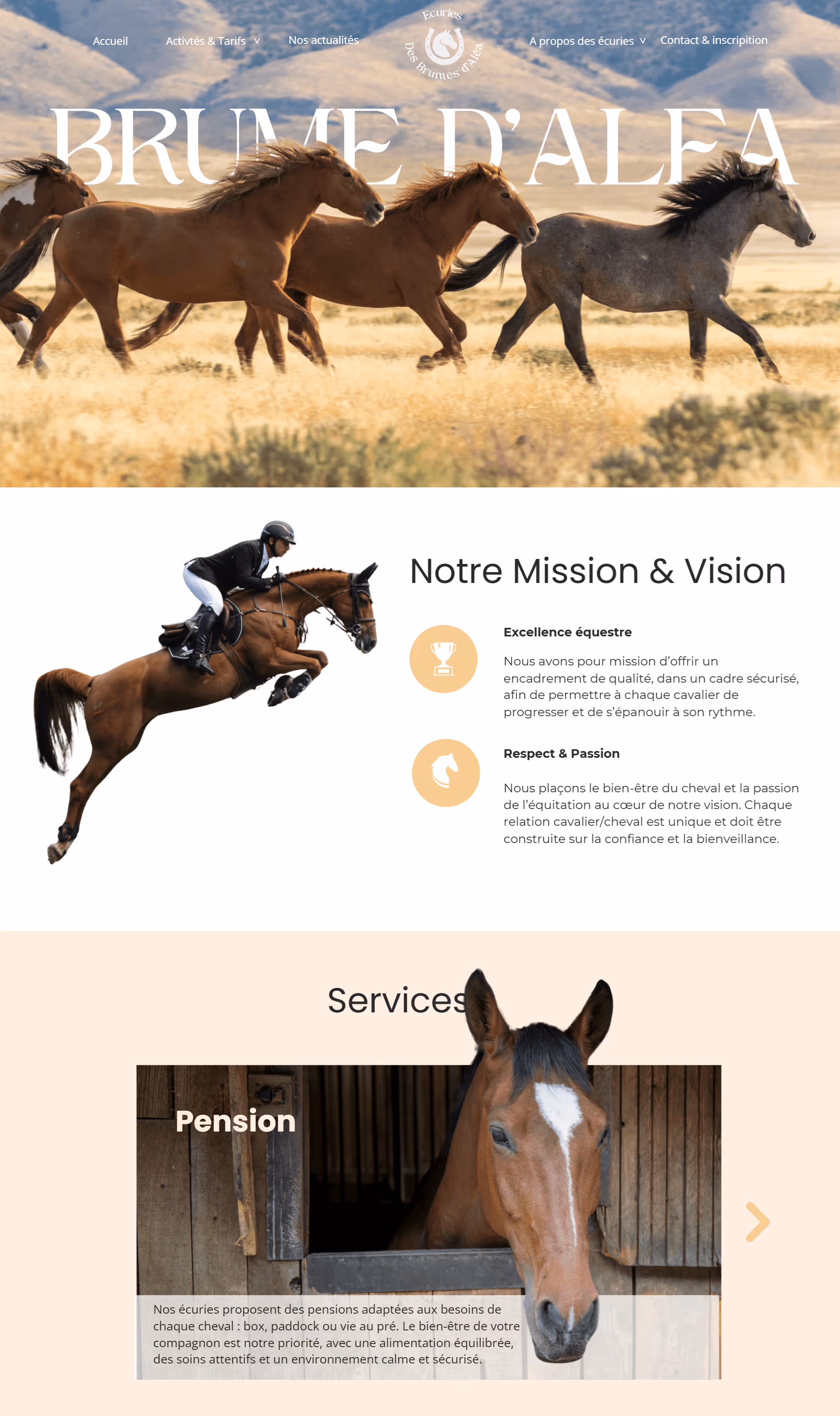 Exemple site-web centre equestre, thème beige, services-accueil.