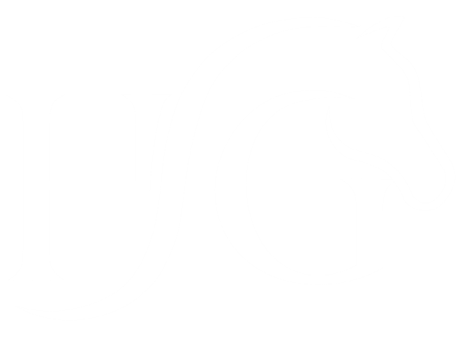 Logo d' Helios Galerie blanc sur fond transparent