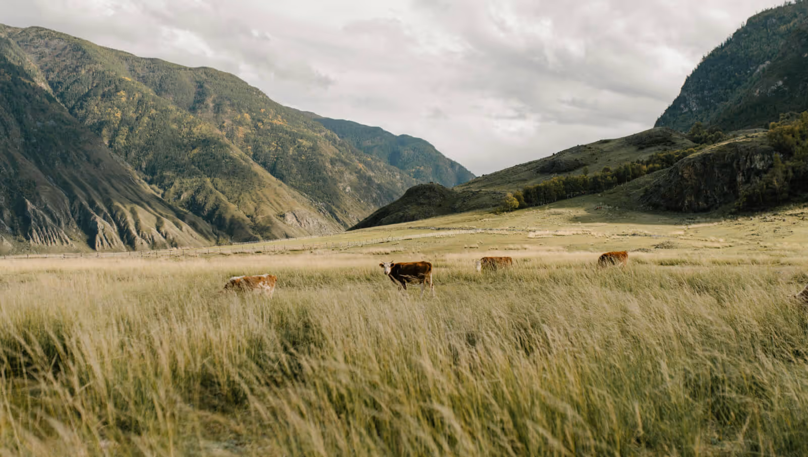 Ranch Photo