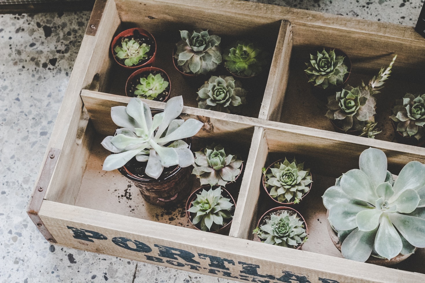 Planters