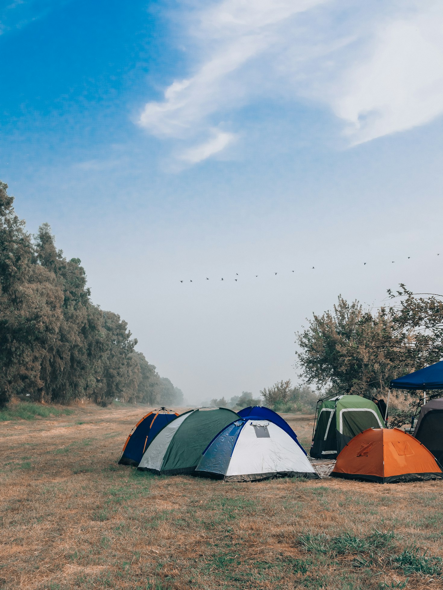 Camping Tents
