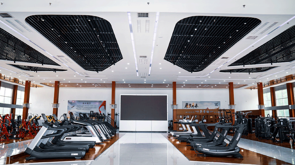 How To Import Gym Equipment from China to New Zealand
