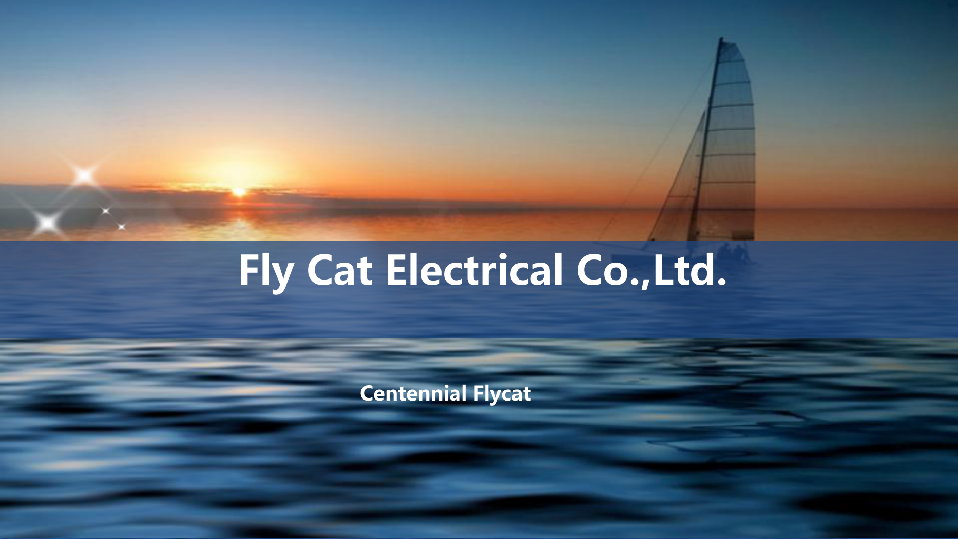 Fly Cat Electrical Co., Ltd