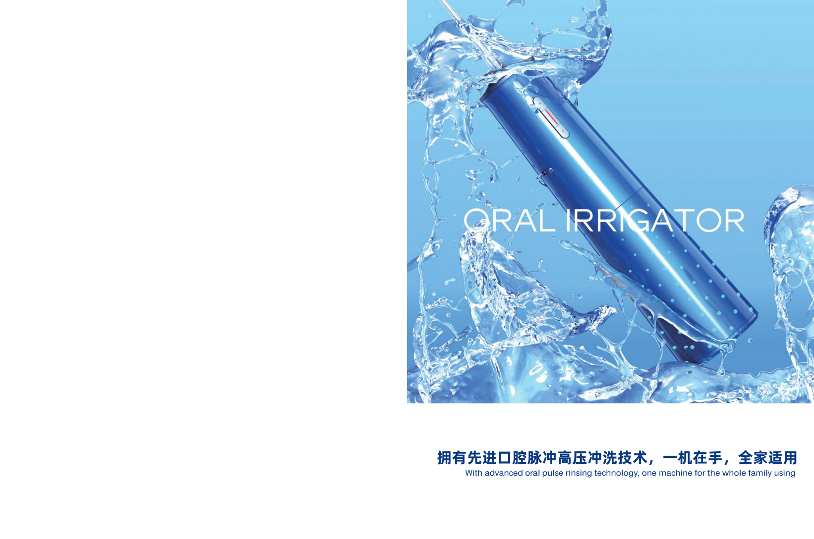Fly Cat Electrical Co., Ltd