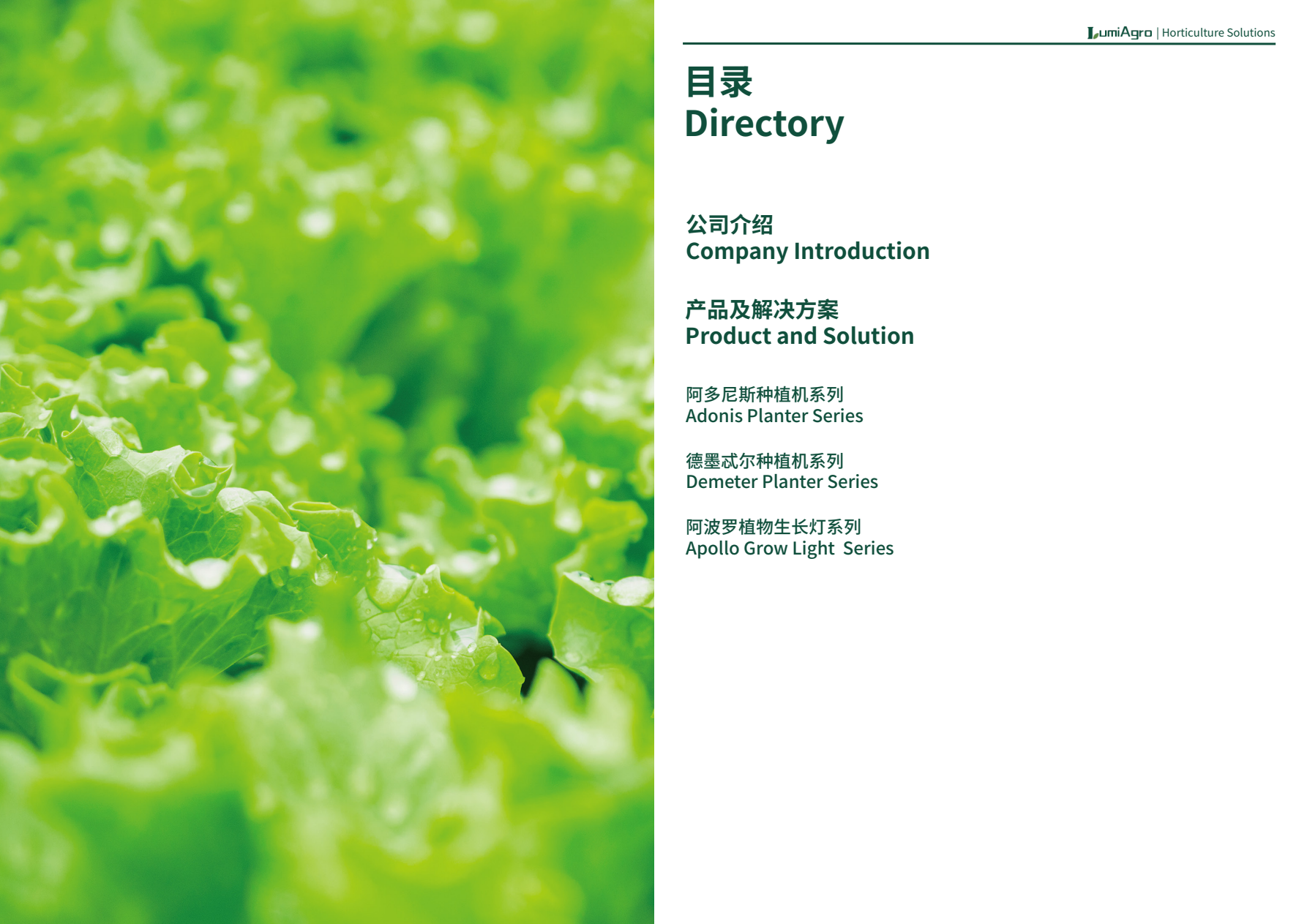 GMY Lighting Technology Co., Ltd