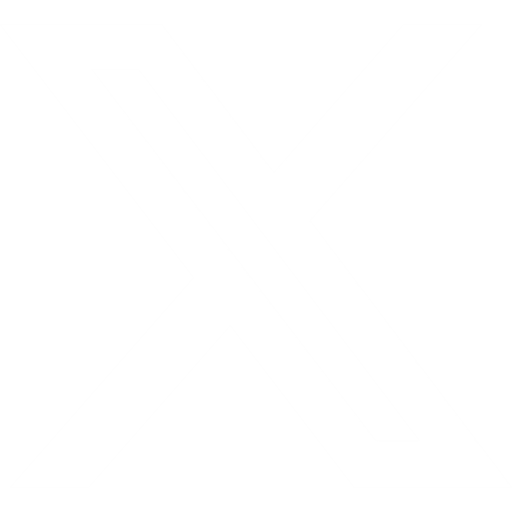 x social media icon