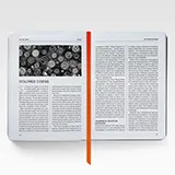 BIT History of Bitcoin Revelations companion book