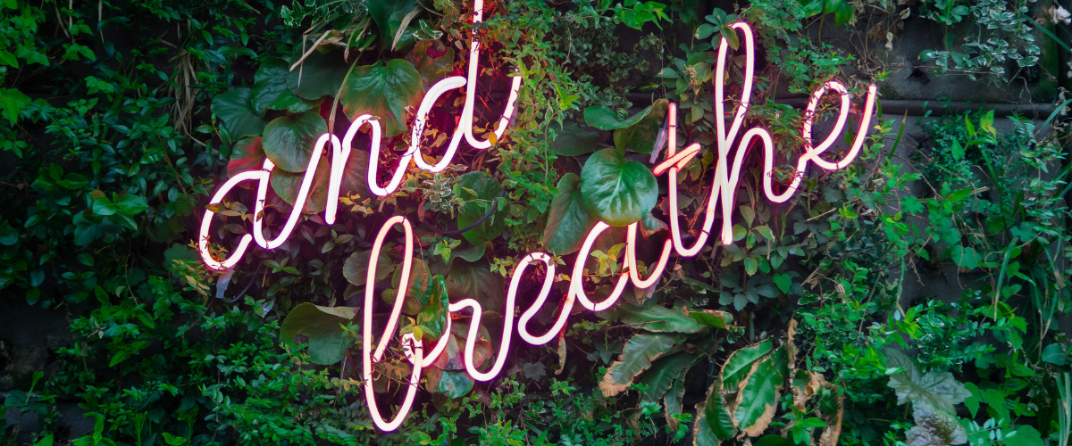 5 Crucial self-care tips for homeschool parents.png