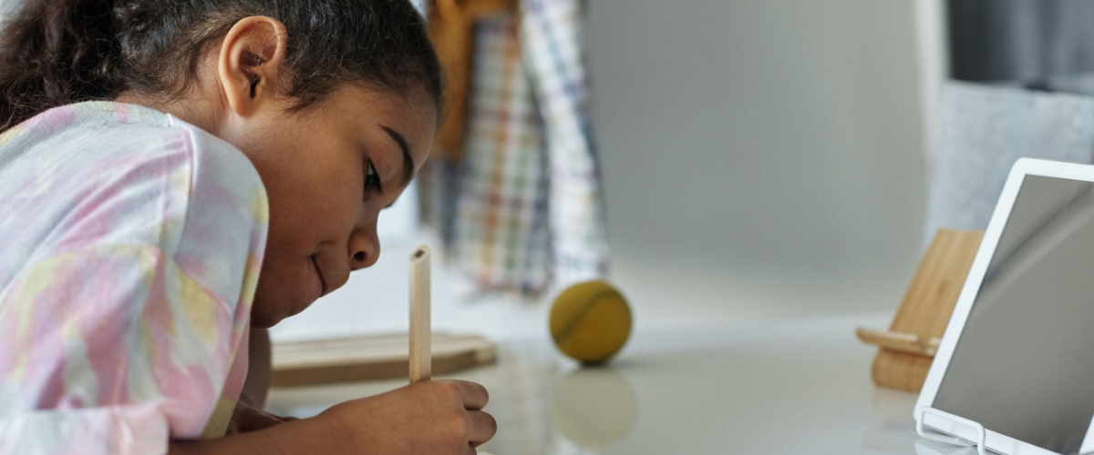 Complete guide to the 4 learning preferences and 8 intelligences.png