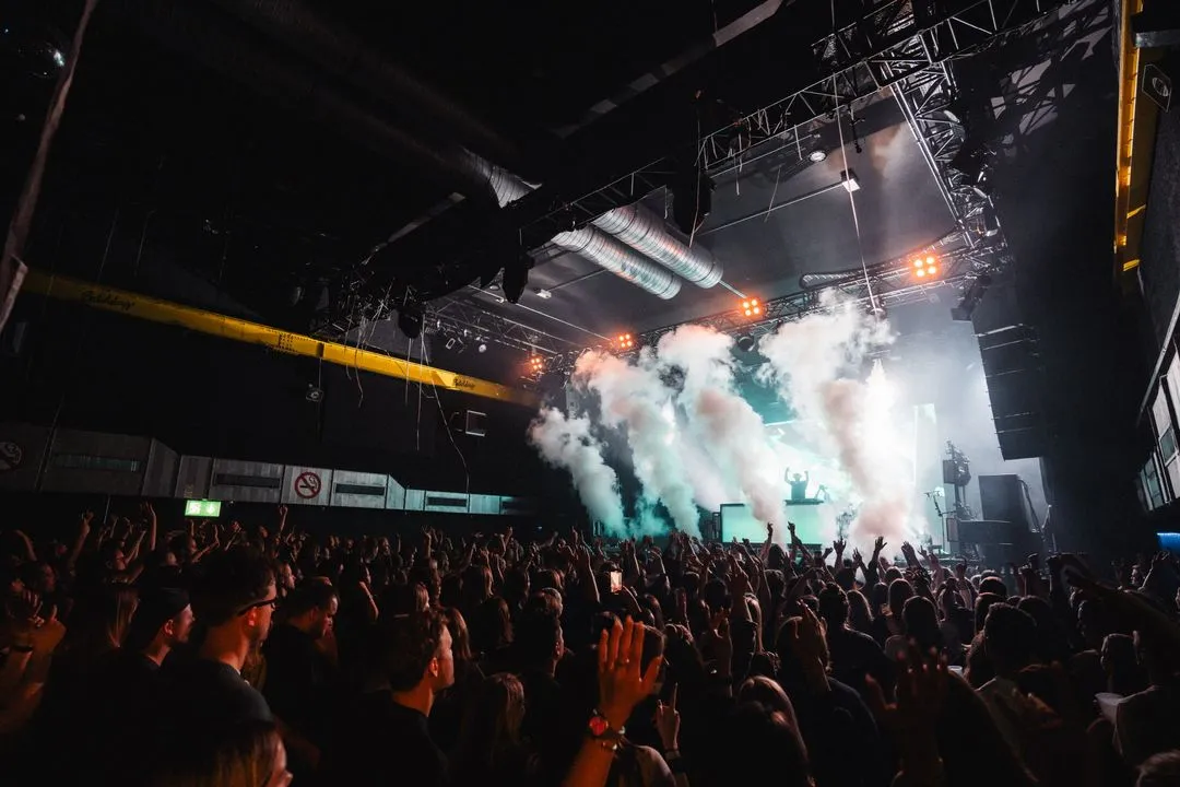 A DJ performs onstage with bright lights and smoke while a crowd cheers energetically.