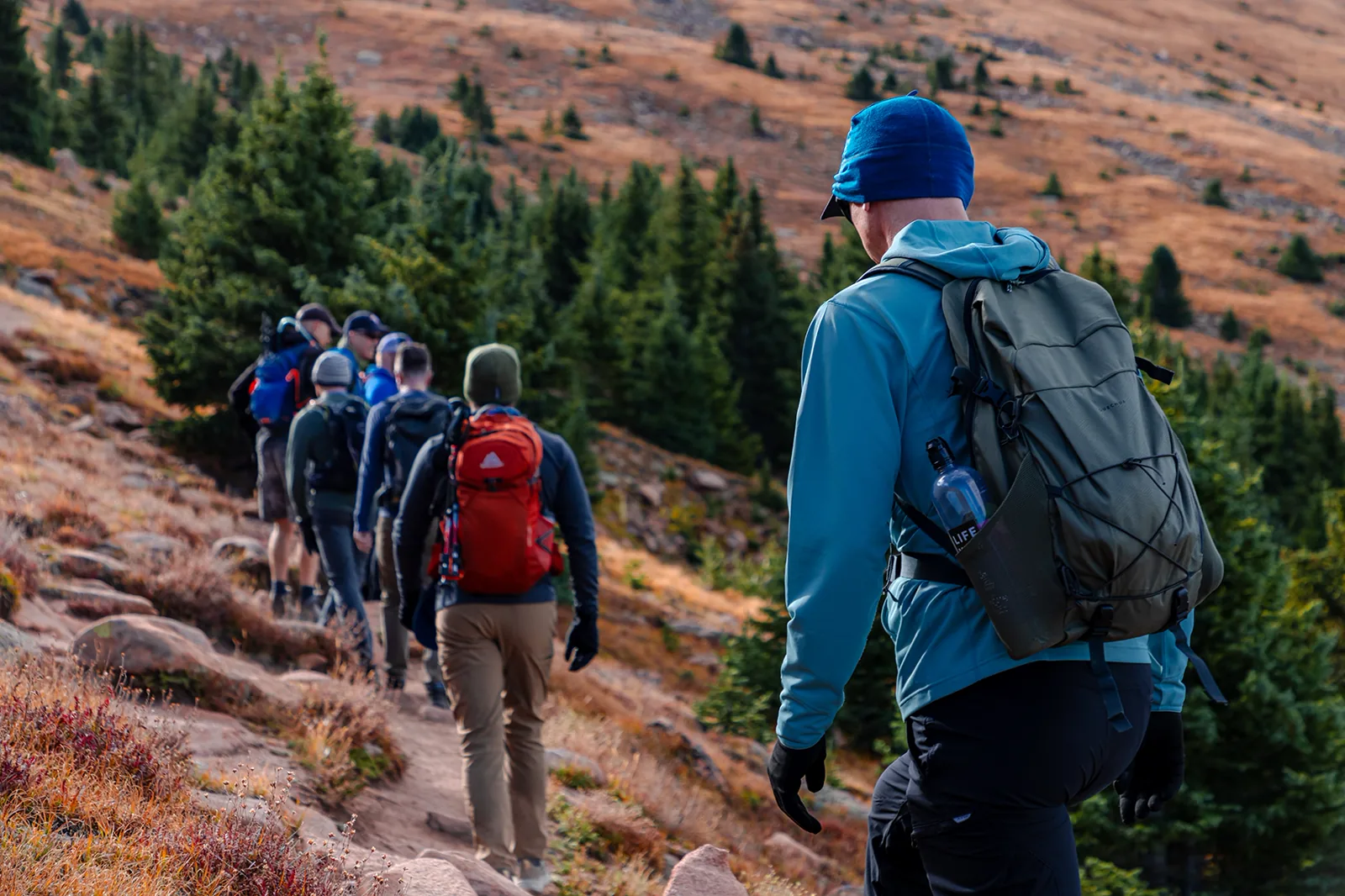 A line of hikers on an alpine trail