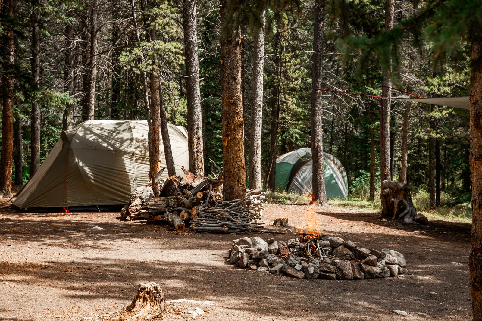 Tents and firewood in the pines