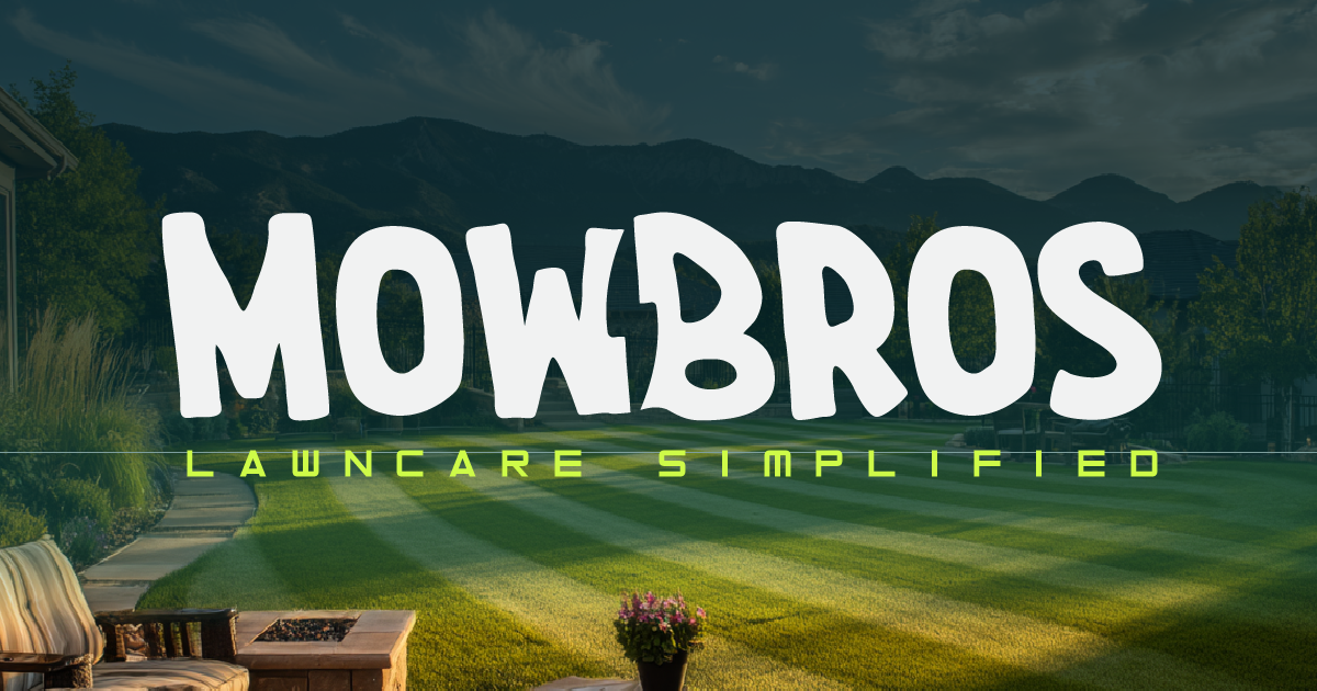 MowBros website design by Born Movement