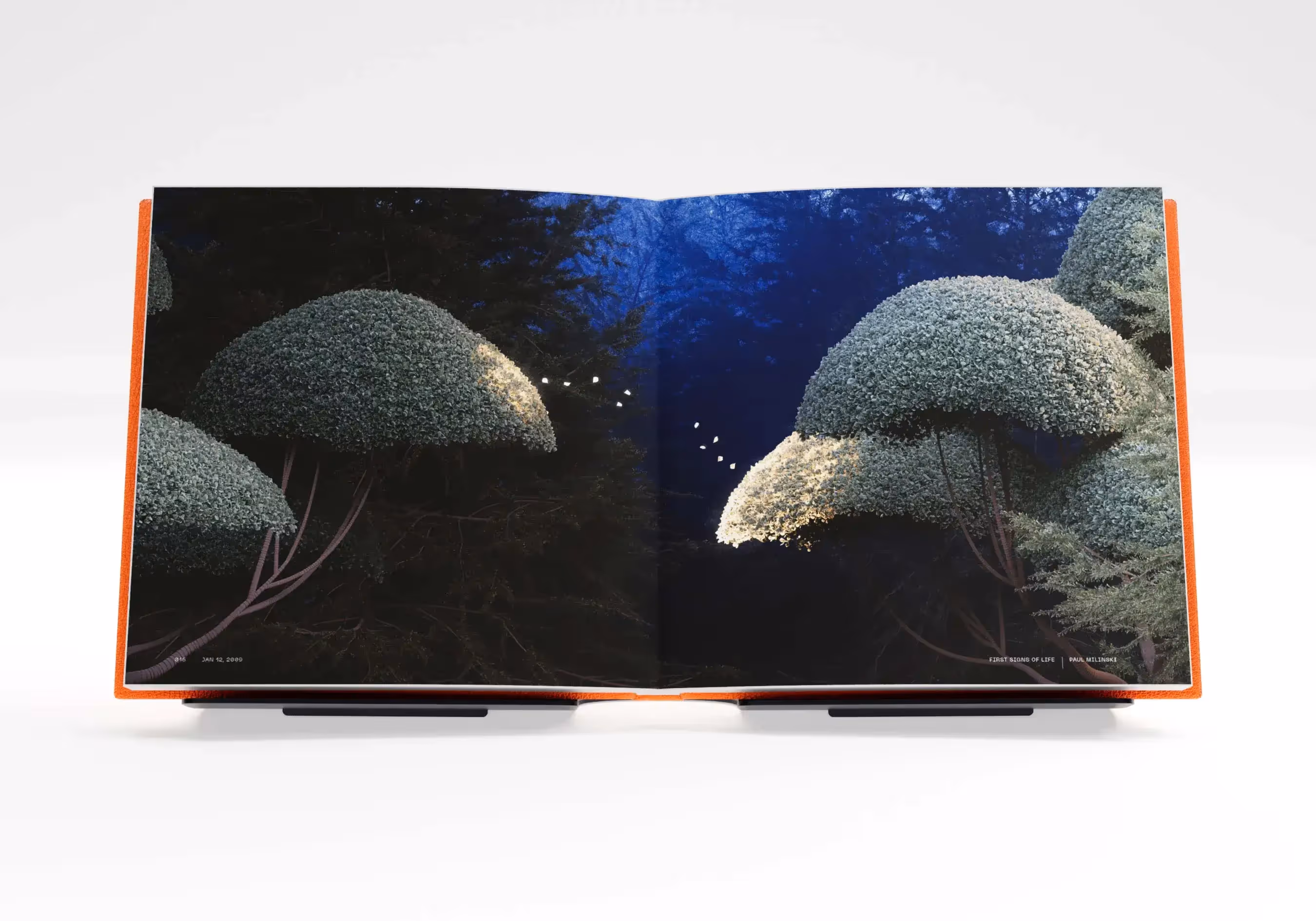Artwork by Paul Milinski: 'First Signs of Life'. Part of BIT by Smashtoshi, a 128-piece limited-edition collection.