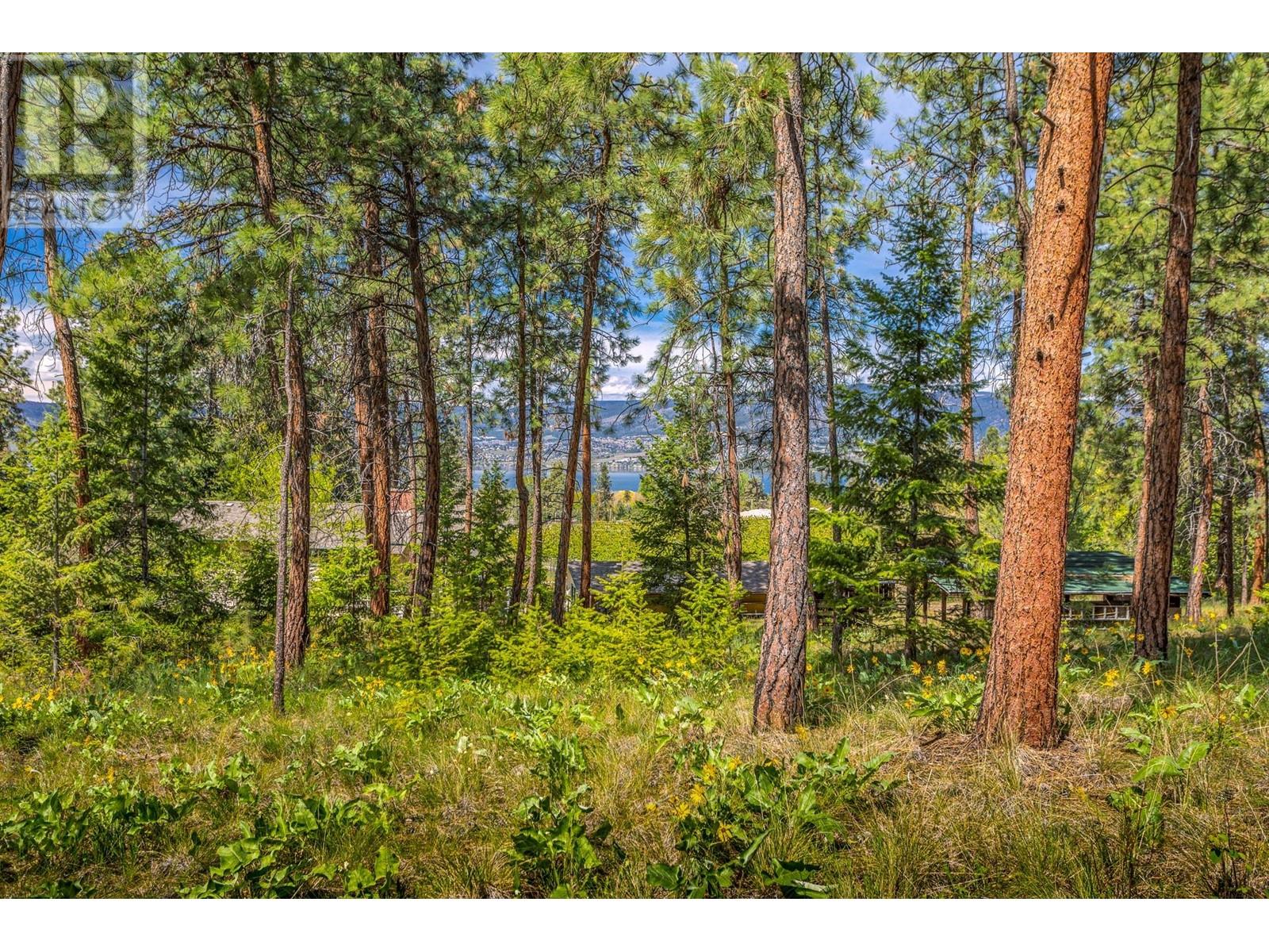 4729 Lakeshore Road