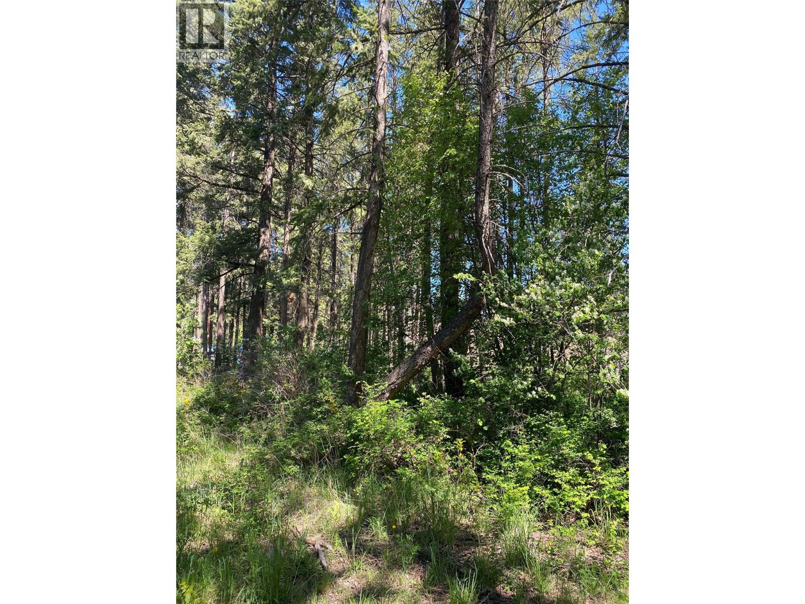867 Balsam Road