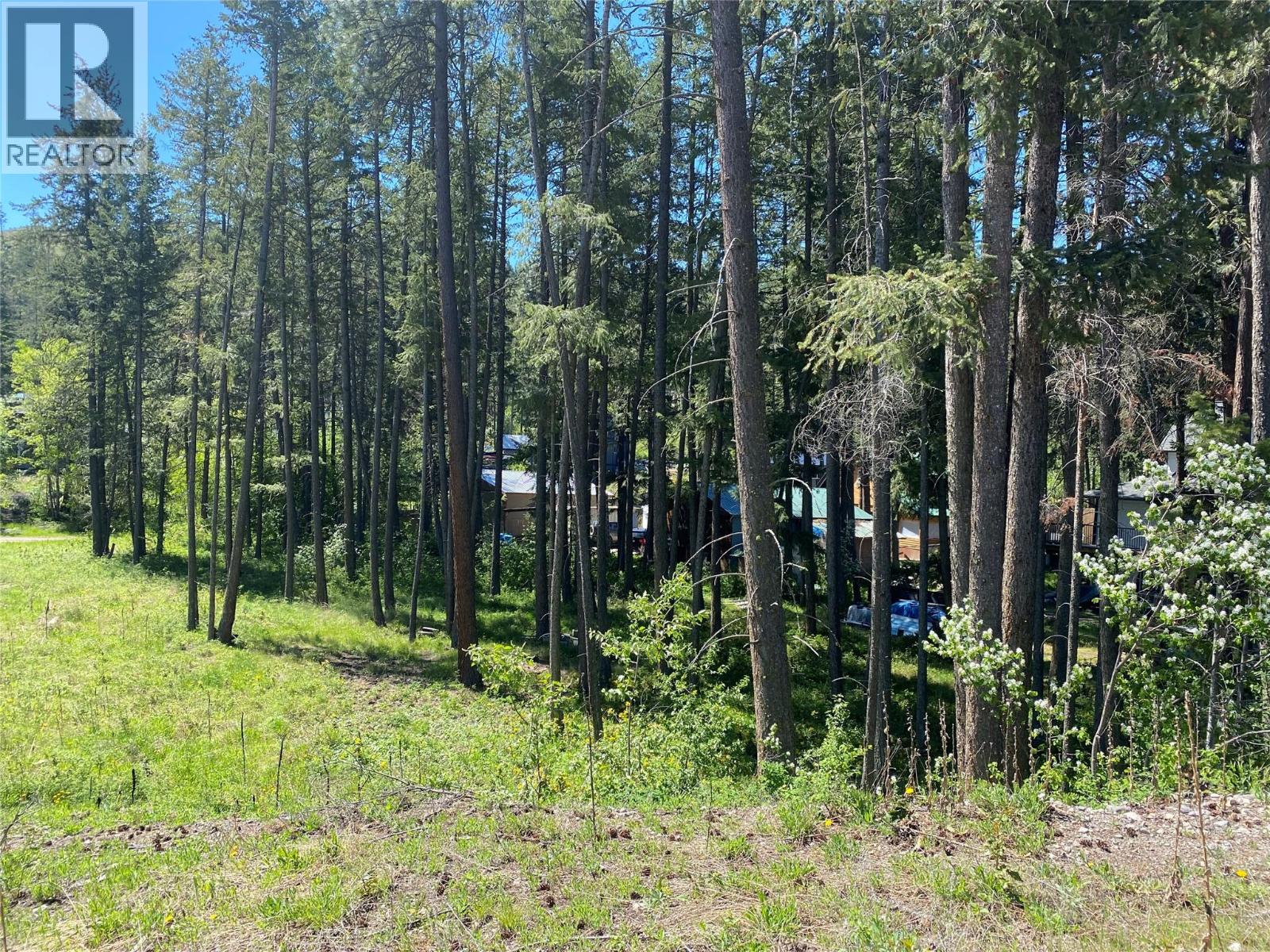 867 Balsam Road