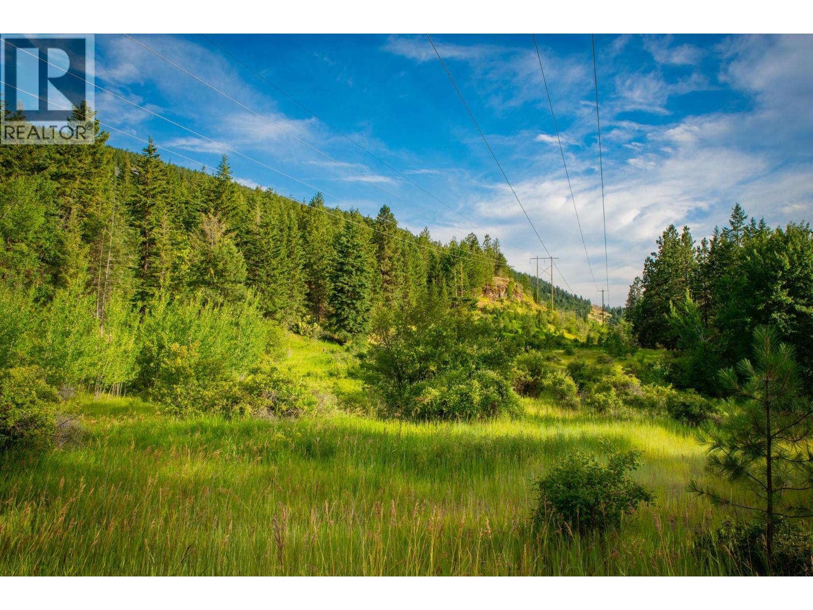 Proposed Lot 1 from 5617 Oyama Lake Road