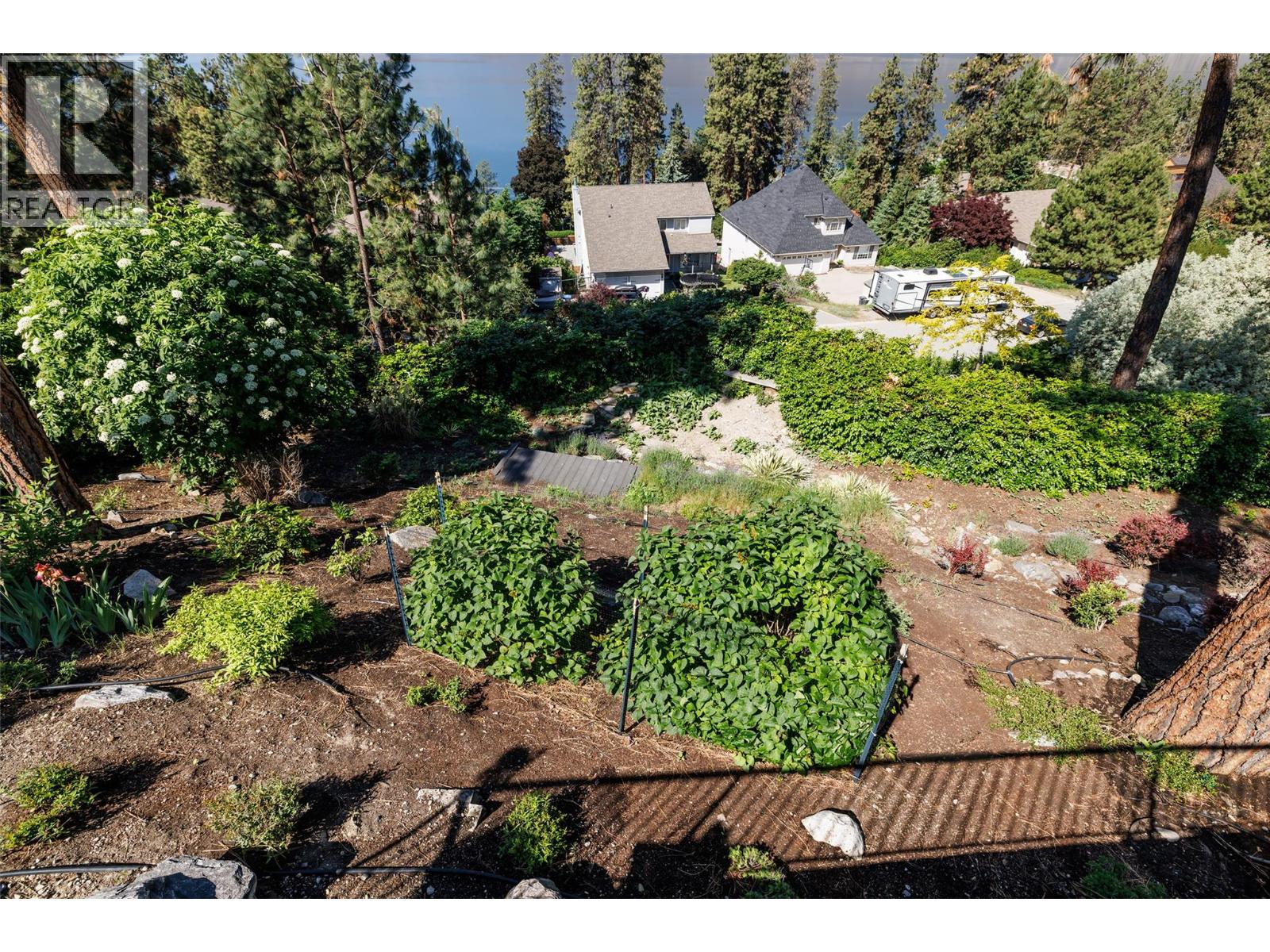 1928 Paly Road