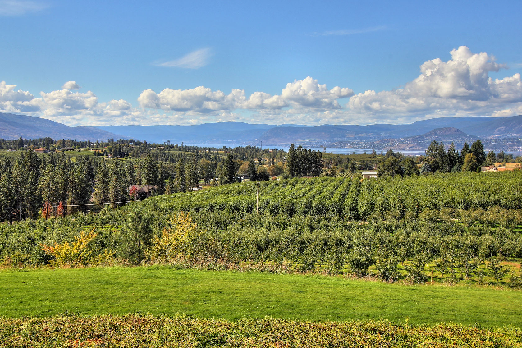 South East Kelowna
