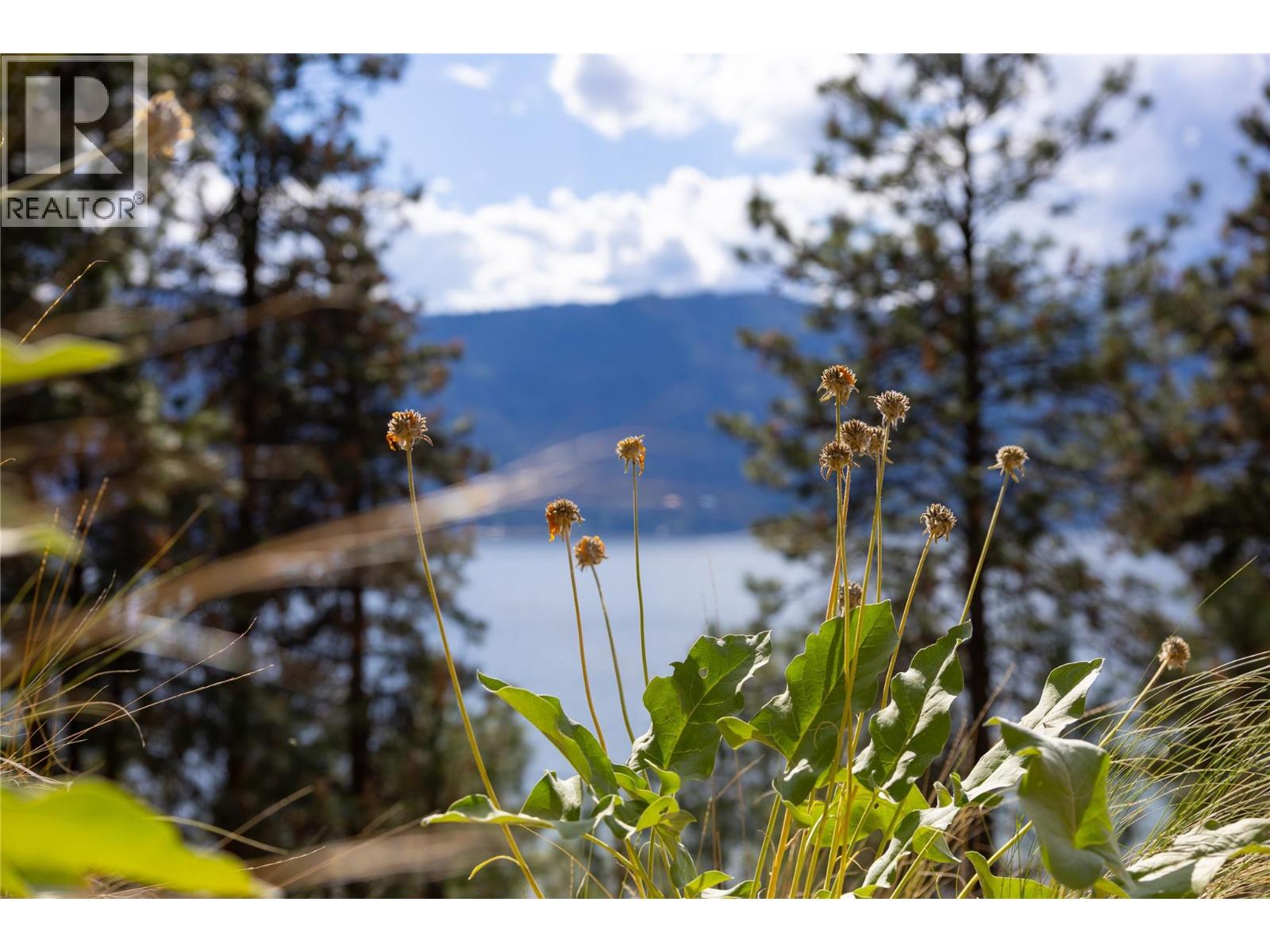 Lot A Okanagan Centre Road W