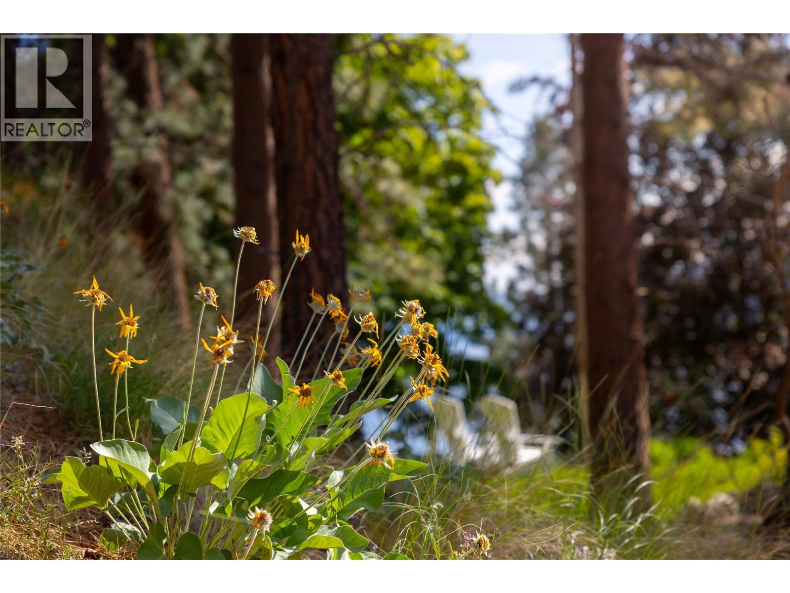 Lot A Okanagan Centre Road W