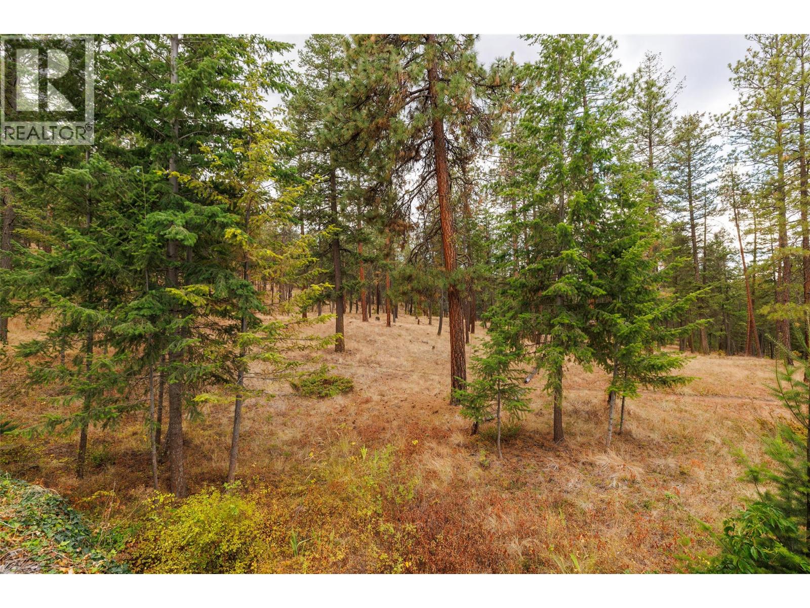 4170 Gallaghers Forest South