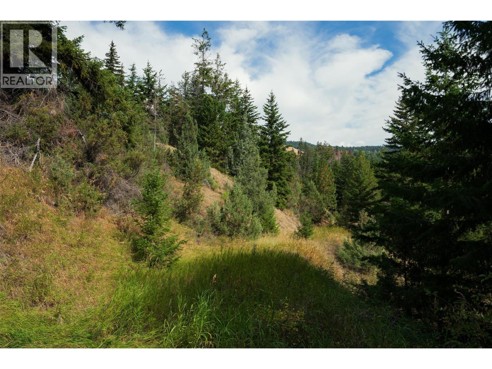 Lot 1 Hwy 33 Highway E