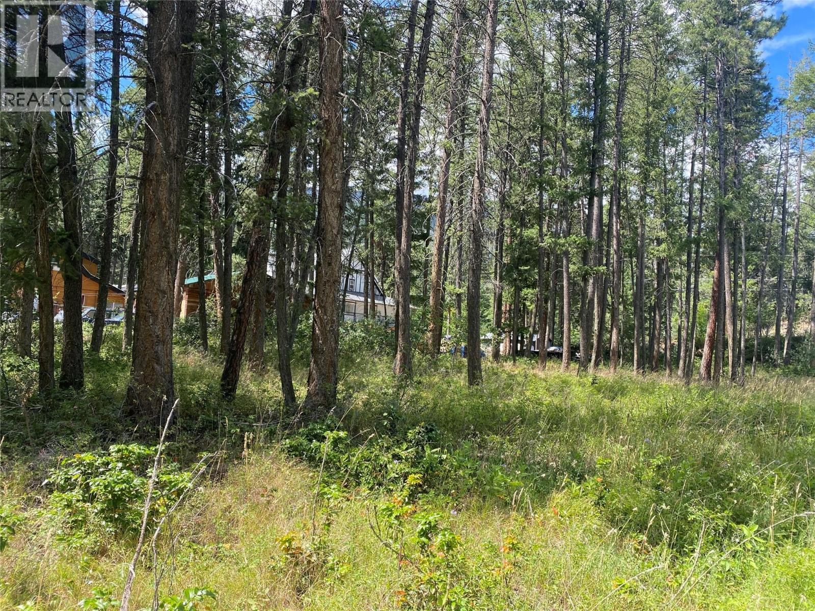 867 Balsam Road