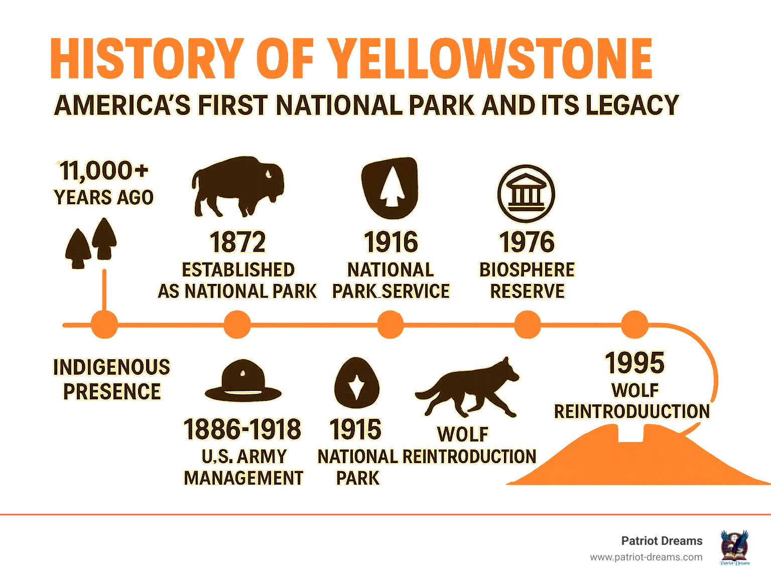 Timeline infographic showing Yellowstone's establishment in 1872, key management transitions from Army to National Park Service, major natural events like the 1988 fires, and modern conservation milestones including wolf reintroduction and UNESCO designations - History of Yellowstone: America s First National Park and Its Legacy infographic 