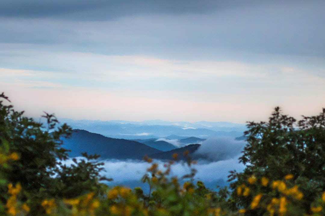 Misty Appalachian mountain range at dawn representing regional folklore - American legends