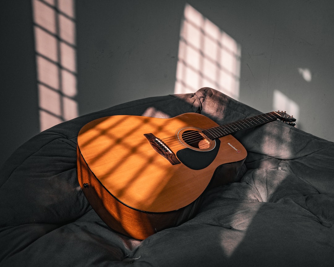 An acoustic guitar leaning against a rustic barn at sunset - audio exploration american roots