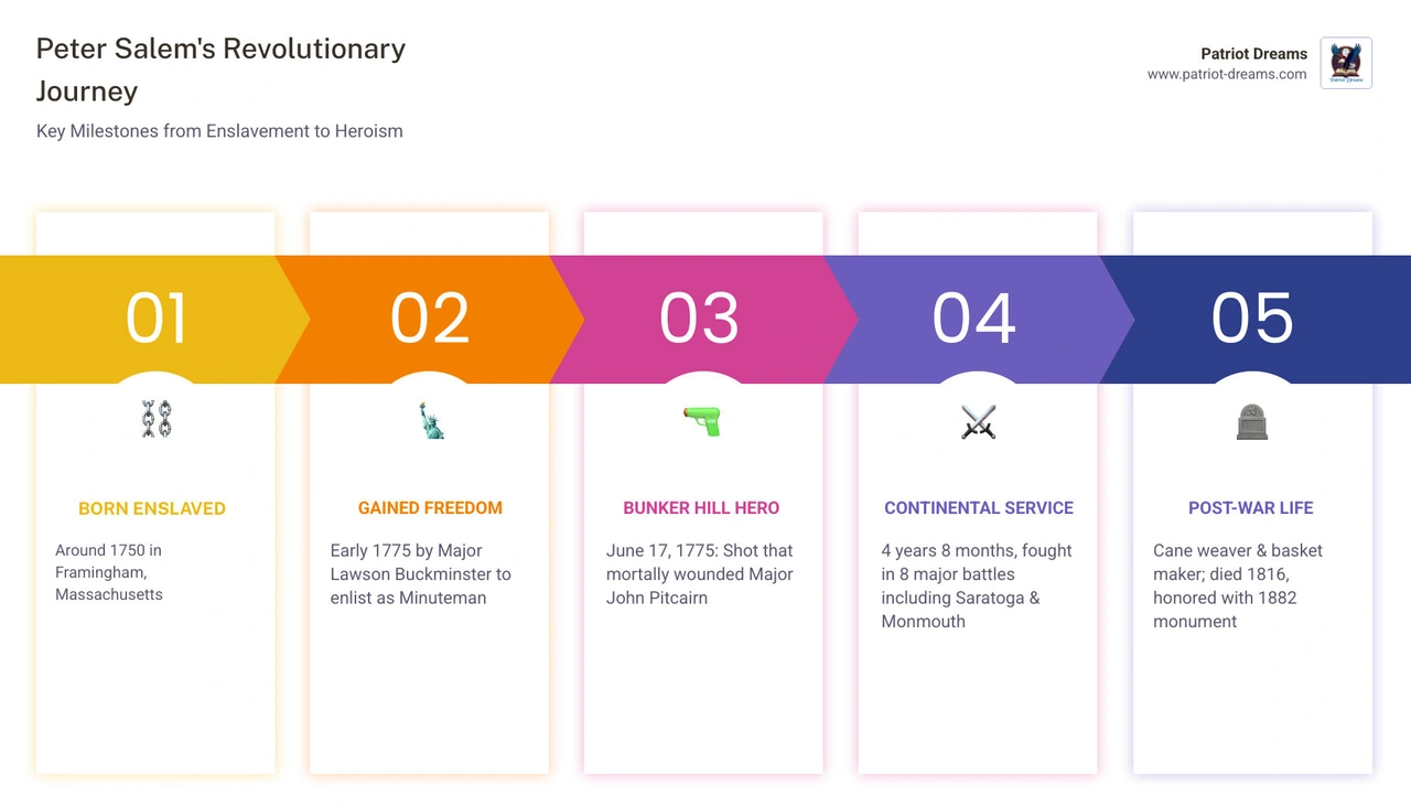 Timeline infographic of Peter Salem's life from birth in 1750 to death in 1816 including key battles and legacy infographic Timeline infographic of Peter Salem's life from birth in 1750 to death in 1816 including key battles and legacy infographic