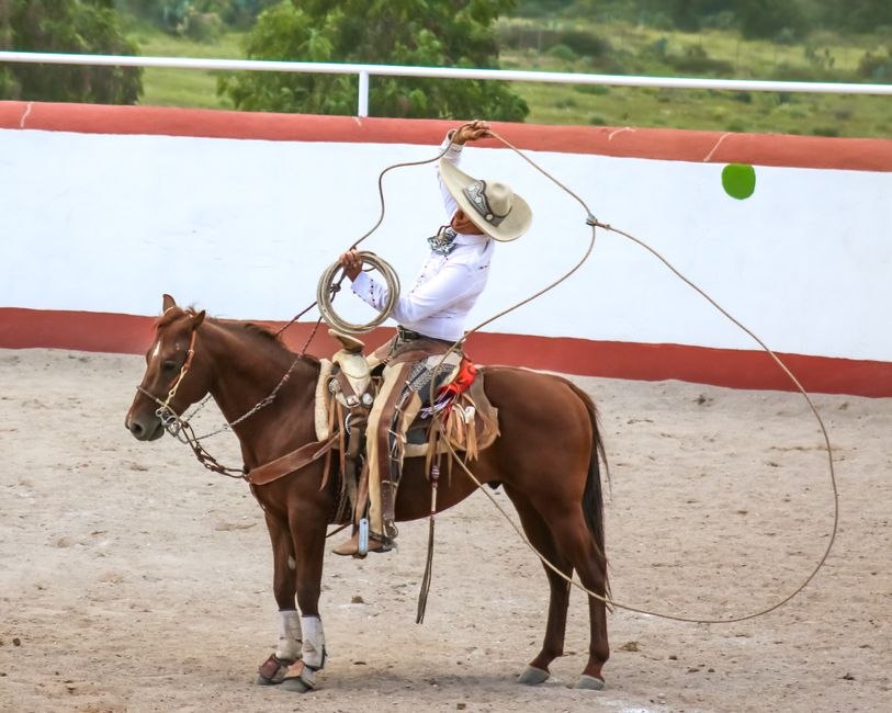 Will Rogers performing his famous rope tricks on stage Cowboy performing his famous rope tricks on stage