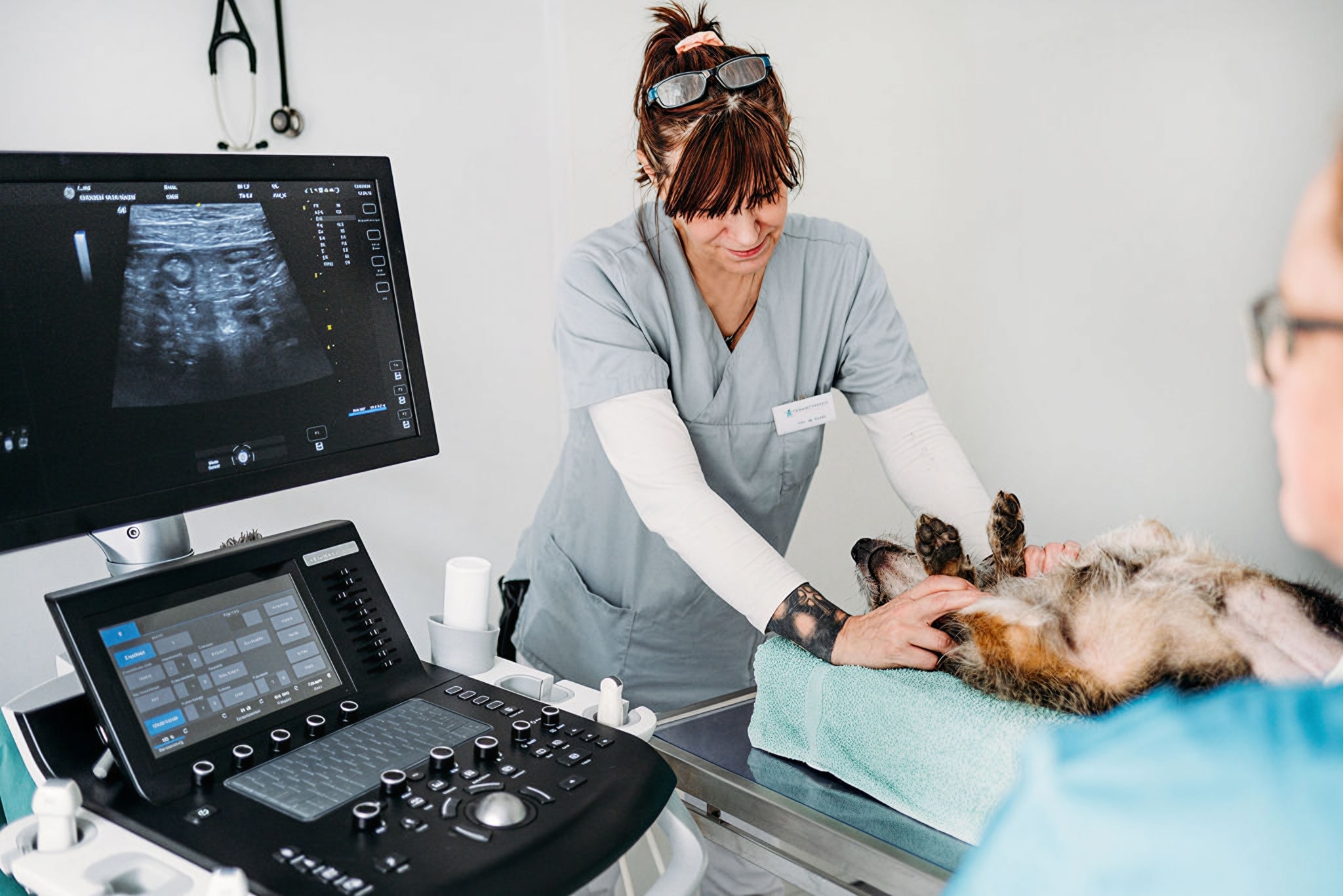 Tierärztin führt eine Ultraschalluntersuchung bei einem Hund durch.