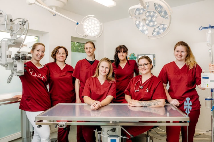 Teamfoto der Tierarztpraxis am Wildrosengehölz