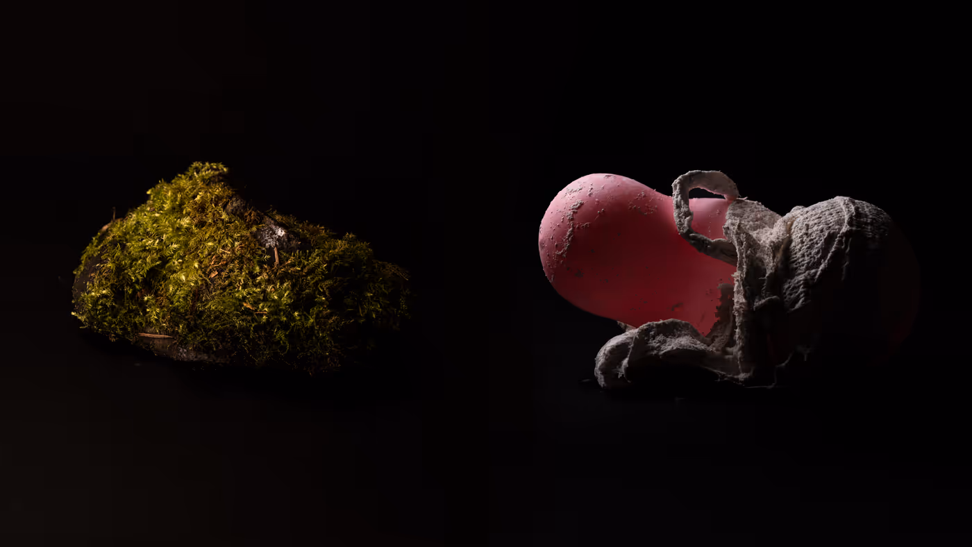 Photographic texture explorations as part of Seventeen's annual self-initiated project.