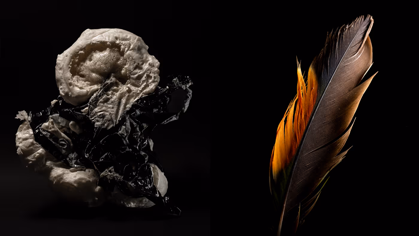 Photographic texture explorations as part of Seventeen's annual self-initiated project.